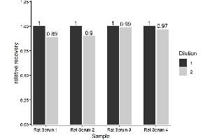 Amyloid beta 1-42 (Abeta 1-42) ELISA Kit