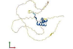Protein Structure (PS) image for Distal-Less Homeobox 5 (DLX5) (AA 1-289) protein (His tag) (ABIN7556713)