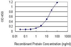 Detection limit for recombinant GST tagged HTR1E is 0. (Serotonin Receptor 1E Antikörper  (AA 206-276))