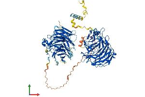 Protein Structure (PS) image for Coronin 7 (CORO7) (AA 1-925) protein (His tag) (ABIN7553544)