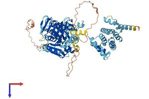 EIF2B5 Protein (AA 1-717) (His tag)