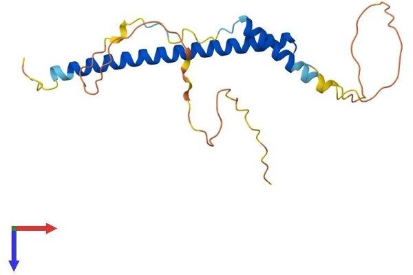 AKIRIN2 Protein (AA 1-201) (His tag)