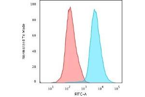 Flow Cytometric Analysis of PFA-fixed Jurkat cells using CD45 Mouse Monoclonal Antibody (Bra55) followed by Goat anti- Mouse- IgG-CF488 (Blue); Isotype Control (Red). (CD45 Antikörper)