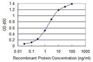 Detection limit for recombinant GST tagged ABCB1 is 0. (ABCB1 Antikörper  (AA 620-709))