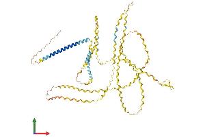 Protein Structure (PS) image for Collagen, Type XXIII, alpha 1 (COL23A1) (AA 1-540) protein (His tag) (ABIN7546681)