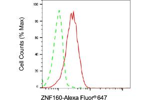 Flow cytometric analysis of ZNF160 expression in HT- cells using ZNF160 antibody (ABIN7800893), 1:2,000).