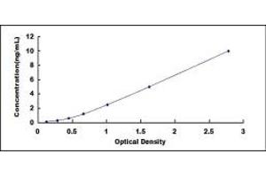 Typical standard curve (MYBPC1 ELISA Kit)