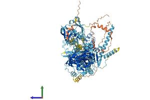 Protein Structure (PS) image for ATPase, Class I, Type 8B, Member 1 (ATP8B1) (AA 1-1251) protein (His tag) (ABIN7552399)