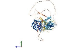 AlphaFold protein structure predicition of Human Recombinant MAP3K20 Protein, UniprotID Q9NYL2