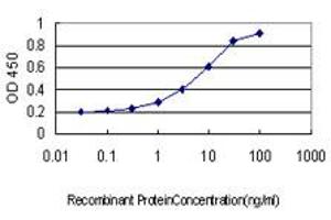 Detection limit for recombinant GST tagged CORO1A is approximately 0. (Coronin 1a Antikörper  (AA 360-461))