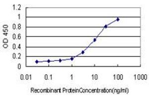 Detection limit for recombinant GST tagged RNASEL is approximately 0. (RNASEL Antikörper  (AA 619-728))