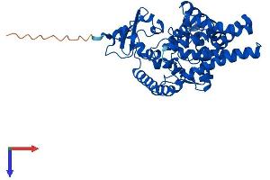 FADS2 Protein (AA 1-444) (His tag)