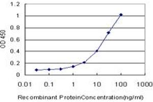 Detection limit for recombinant GST tagged NHLH2 is approximately 0. (NHLH2 Antikörper  (AA 36-135))