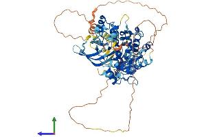 Protein Structure (PS) image for Tyrosine Kinase, Non-Receptor, 1 (TNK1) (AA 1-666) protein (His tag) (ABIN7544613)