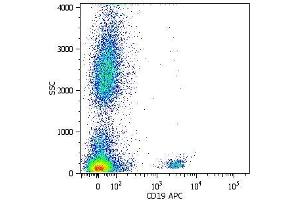 Surface staining of human peripheral blood cells with anti-human CD19 (LT19) APC. (CD19 Antikörper  (APC))