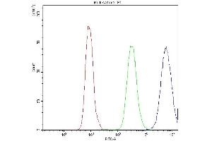 Flow Cytometry analysis of SiHa cells using anti-PPT1 antibody (ABIN3043357). (PPT1 Antikörper  (C-Term))