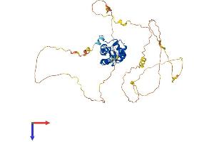 SMAP2 Protein (AA 1-429) (His tag)