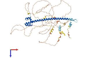 NFE2L3 Protein (AA 1-660) (His tag)