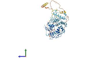 AlphaFold protein structure predicition of Human Recombinant ZNF480 Protein, UniprotID Q8WV37