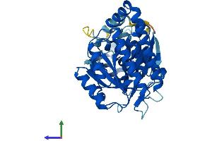 AlphaFold protein structure predicition of Mouse Recombinant Mvk Protein, UniprotID Q9R008