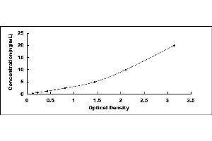 Typical standard curve (TYK2 ELISA Kit)