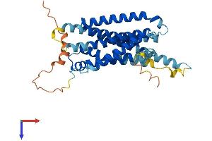 MC4R Protein (AA 1-332) (His tag)