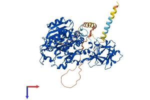 GALNT7 Protein (AA 1-657) (His tag)