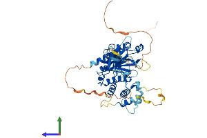 Protein Structure (PS) image for FERM Domain Containing 8 (FRMD8) (AA 1-466) protein (His tag) (ABIN7557177)