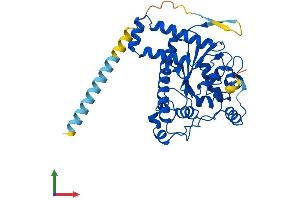 AlphaFold protein structure predicition of Human Recombinant TPST1 Protein, UniprotID O60507 (TPST1 Protein (AA 1-370) (His tag))