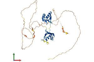 Protein Structure (PS) image for RNA Binding Motif, Single Stranded Interacting Protein 3 (RBMS3) (AA 1-437) protein (His tag) (ABIN7551273)
