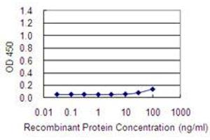 Detection limit for recombinant GST tagged ACTR3 is 10 ng/ml as a capture antibody. (ACTR3 Antikörper  (AA 1-418))