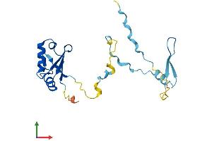 Protein Structure (PS) image for Regulator of Calcineurin 2 (RCAN2) (AA 1-197) protein (His tag) (ABIN7561501)