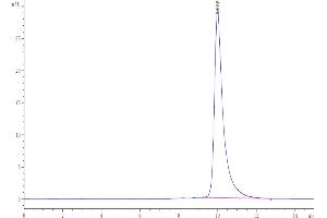 Size-exclusion chromatography-High Pressure Liquid Chromatography (SEC-HPLC) image for Receptor Tyrosine Kinase-Like Orphan Receptor 1 (ROR1) (AA 165-305) protein (His tag) (ABIN7275526)