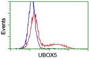 Image no. 2 for anti-U-Box Domain Containing 5 (UBOX5) (AA 1-130), (AA 419-487) antibody (ABIN1490570)