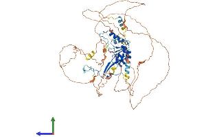 Protein Structure (PS) image for DBF4 Homolog (DBF4) (AA 1-663) protein (His tag) (ABIN7561814)