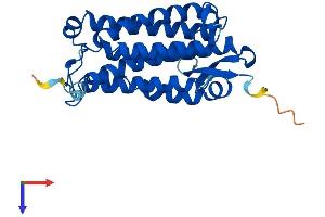 ACER2 Protein (AA 1-275) (His tag)