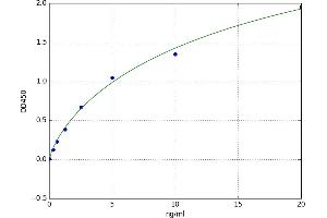 A typical standard curve