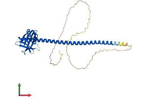 Protein Structure (PS) image for X-Ray Repair Complementing Defective Repair in Chinese Hamster Cells 4 (XRCC4) (AA 1-336) protein (His tag) (ABIN7545171)