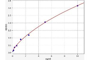 Typical standard curve (HOGA1 ELISA Kit)
