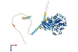 DDX41 Protein (AA 1-622) (His tag)