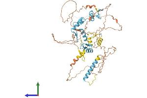 AlphaFold protein structure predicition of Human Recombinant IKZF2 Protein, UniprotID Q9UKS7