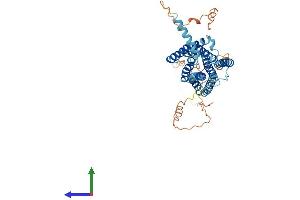 Protein Structure (PS) image for G Protein-Coupled Receptor 22 (GPR22) (AA 1-432) protein (His tag) (ABIN7559048)