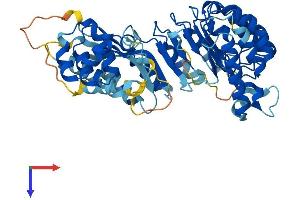LRRC14 Protein (AA 1-493) (His tag)