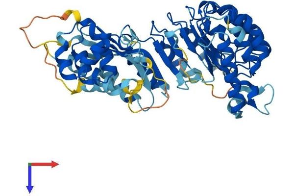 LRRC14 Protein (AA 1-493) (His tag)