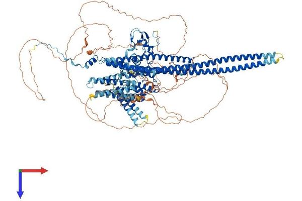 HMHA1 Protein (AA 1-1136) (His tag)