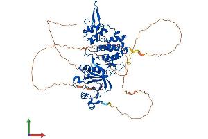 Protein Structure (PS) image for Dual-Specificity tyrosine-(Y)-phosphorylation Regulated Kinase 2 (DYRK2) (AA 1-601) protein (His tag) (ABIN7553733)