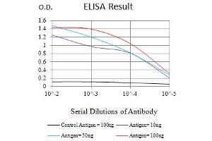Black line: Control Antigen (100 ng),Purple line: Antigen (10 ng), Blue line: Antigen (50 ng), Red line:Antigen (100 ng) (CD163 Antikörper  (AA 42-259))