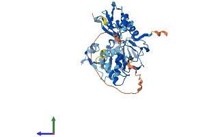 AlphaFold protein structure predicition of Human Recombinant MTHFSD Protein, UniprotID Q2M296