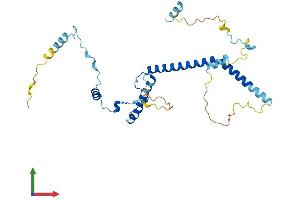 Protein Structure (PS) image for EBNA1 Binding Protein 2 (EBNA1BP2) (AA 1-306) protein (His tag) (ABIN7561150)