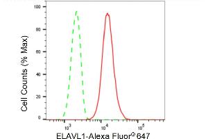 Flow cytometric analysis of ELAVL1 expression in HepG2 cells using ELAVL1 antibody (ABIN7798430), 1:2,000).
